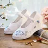 Sapatos de Tecido Old Beijing com Estampa de Grou Branco para Mulheres, Novos Sapatos Hanfu para Primavera e Outono, Sapatos Elegantes de Estilo Antigo para Mulheres, Sapatos Bordados de Estilo Chinês com Solado Macio