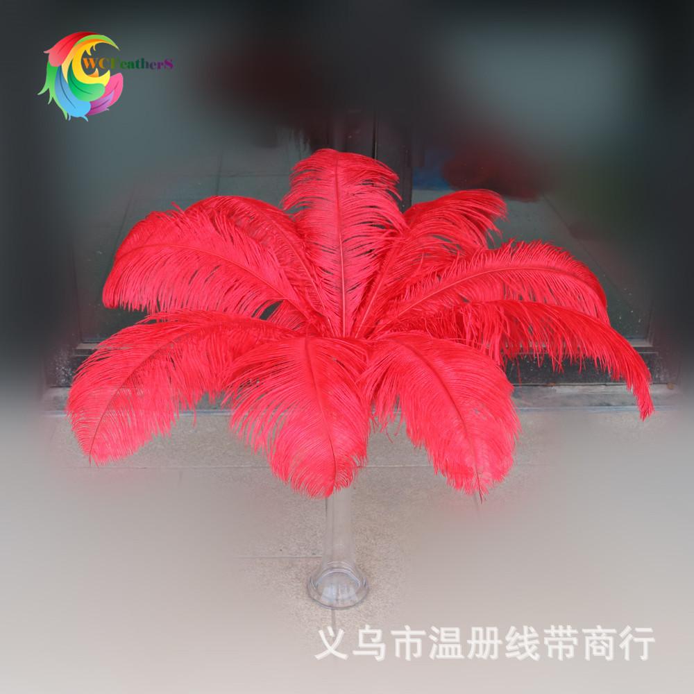 9 鸵大杆 大红 60-65cm 5