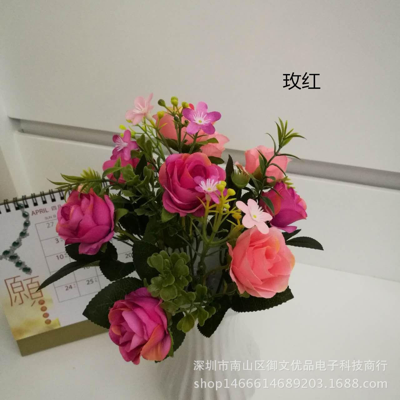 10头天仙玫瑰 玫红1_副本