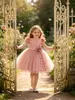 Novo Vestido de Princesa Infantil Vestido com Aplique de Borboleta Saia Tutu de Tule Vestido para Festa de Aniversário Vestido de Fantasia para Apresentação