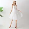 AliExpress Faldas de Malla Explosivas Falda TUTU Amazon Falda de Malla de Color Sólido para Verano
