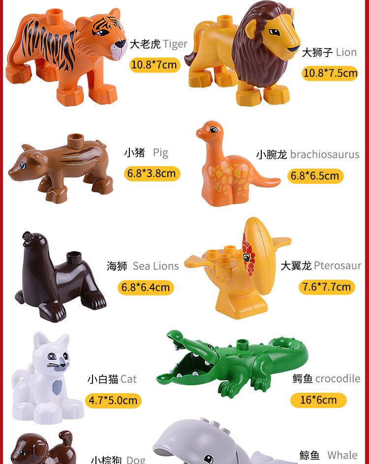 动物详情_08