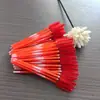 Pincel de Cílios Bicolor para Novos Produtos Transfronteiriços com Cabo Sólido Colorido, Dupla Utilização para Cílios e Sobrancelhas