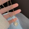 Colar vintage de rosas francesas, joias de luxo para mulheres, nicho de outono e inverno, corrente de clavícula, acessórios elegantes e doces