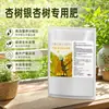 Árbol de Ginkgo Fertilizante Especial Compuesto Fertilizante Árbol de Fruta Blanca Árbol Gungsun Planta en Maceta Bonsái Planta Verde Planta Flor Fertilizante
