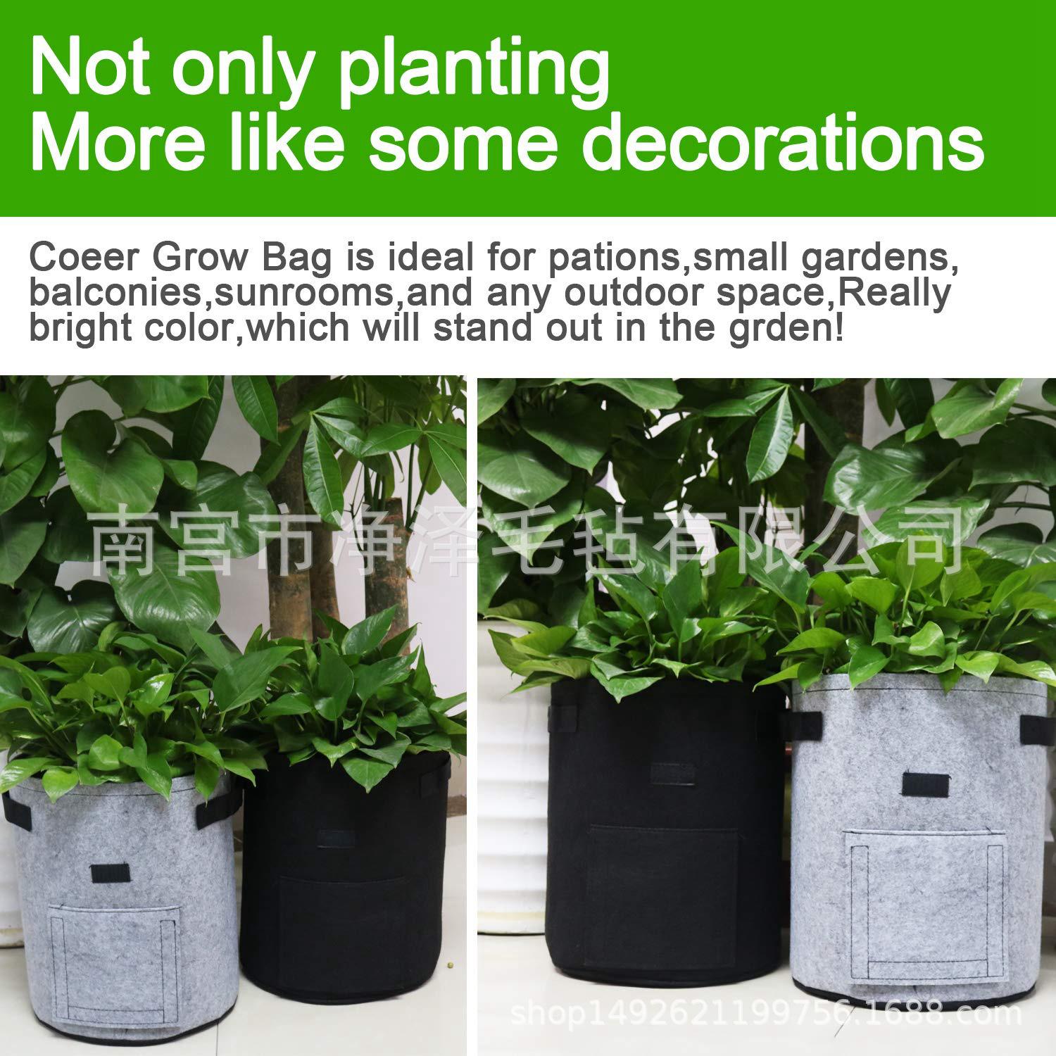 81R8ptGXS6L._SL1500_