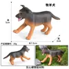 Modelos de Animales Realistas: Doberman, Golden Retriever, Perro de Peluche, Husky, Collie - Adornos para Coche y Juguetes para Niños