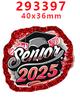 Nuevo Parche de Resina Acrílica 2025 Fondo Brillante Gt-R-293308