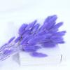 Material de Flor Seca Capim Rabo de Coelho de Yunnan, Capim Rabo de Raposa Decoração de Ano Novo para Casa, Adereços de Fotografia, Flores Decorativas que Não Murcham