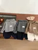 Ropa Coreana para Niños Niños Otoño 2025 Tejidos Moda para Bebés Sencillo Elegante Suéter con Capucha Gris Pulóver