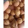Almohada de Hueso de Durazno Pequeño Silvestre Semillas Sueltas Semillas Crudas Almohada para Vértebras Cervicales Relleno de Almohada con Perlas Sueltas Materia Prima de Hueso de Nuez Pequeña Bolsa
