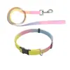 Juego de dos piezas de collar y correa para mascotas de nailon degradado, collar y correa para perros ajustables, apto tanto para perros pequeños como grandes