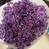 Fábrica de Gipsofila Eterna de Yunnan Suministro Directo Flores Secas de Gipsofila Eterna Flores Reales Venta al por Mayor Materiales para Manualidades de Flor Eterna