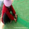 Protección de taludes y revegetación red tridimensional para taludes complejos red tridimensional para siembra de pasto protección de taludes red para siembra de pasto red tridimensional de vegetación EM3