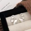 Brincos Elegantes, de Luxo Leve, de Alto Padrão e Nicho, com Temperamento, Design Simples Personalizado, Coleção de Brincos de Prata Fosca