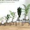 Suporte de Flores para Bonsai de Interior Arte em Ferro Acabamento Fino Metal Simples Suporte de Flores de Chão
