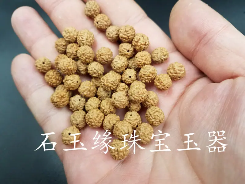 20180909_132343.jpg