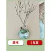 Mudas de Ameixeira Ornamental em Vaso, Bonsai de Tronco Antigo para Varanda e Jardim, Ameixa Vermelha Nativa com Flores Grandes e Fragrância Forte, Plantas de Ameixeira Ornamental Resistentes em Vaso