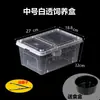 Caja de Cría de Reptiles de Segunda Generación Nuevo Gecko Mascota Rana Cornuda Terrario Tanque de Plástico para Tortugas Caja para Excrementos de Lagarto