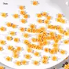 Decorações de Arte para Unhas de Rosa e Camélia Tridimensionais Esculpidas Suaves Acessórios Artesanais DIY Decoração de Unhas Flores de Resina Venda por Atacado
