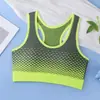 2026 Novo Sutiã Sem Costura Sem Aro, Roupa Íntima Esportiva Estilo Regata Color Block, Sutiã Fino Push-Up e Levanta-Busto Confortável