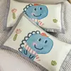 Fundas de Almohada de Seda Helada para Niños de Verano, Juego de Dos, 30X50, Fundas Interiores de Almohada Refrigerante para Bebés de Guardería, Fundas Internas a Prueba de Sudor para Núcleos de Almohada