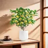 Árvore de Osmanthus Árvore Grande Muda de Osmanthus O Ano Todo Osmanthus Dourado O Ano Todo Osmanthus em Vaso Árvore de Paisagismo para Pátio Planta Árvore de Paisagismo