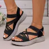 Sandalias europeas y americanas para mujer 2025 primavera/verano nuevo talla grande cuña casual cómodas versátiles elásticas transfronterizas sandalias deportivas