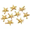 Colgante de Estrella de Mar Hueca de Acero Inoxidable Chapado al Vacío de 18K Colgante para Collar Pulsera DIY Accesorios para Joyería Venta al por Mayor Transfronteriza