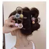 Nuevo Clip de Pelo de Bola de Acrílico con Flor de Verano 2024 Nuevo Pasador para el Cabello de Tiburón para Mujeres
