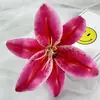 Arranjo de Flores de Lírio Artificial para Novo Produto Transfronteiriço Arranjo de Flores Arranjo de Parede de Flores Decorativa Design Floral DIY Flores Artificiais