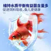 Bacterias Nitrificantes Purificador de Agua para Acuario Medicina para Peces para Piscicultura, Estabilizador de Calidad del Agua, Descompone Desechos de Peces, Solución de Bacterias Vivas Digestivas
