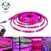 Barra de luz LED baixa voltagem luz para crescimento de plantas internas 5050 DC12V 5 m 3 Vermelho 1 azul 4 Vermelho 1 azul 5 Vermelho 1 Azul