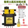Bomba de Agua para Motor de Pulverizador Eléctrico Agrícola de 12V Máquina de Alta Presión Accesorios Bomba Autocebante de Doble Núcleo de Alta Potencia