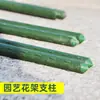 Tubo de Acero Recubierto de Plástico Soporte para Trepar Balcón Pilar de Rosas Estructura para Trepar Tomate Pepino Frijol Estante para Flores Pilar de Jardinería