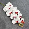 Orquídeas Borboleta Simuladas, Decoração de Mesa de Sala de Estar de Alta Qualidade, Arranjos Florais, Expositores de Flores Artificiais de Hortênsia, Flores Artificiais Atacado