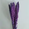 Painço painço espiga Yunnan natural seco flor cor arroz flor buquê decoração para casa tiro adereços DIY inserir