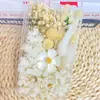 Kit de Materiales de Flores Secas DIY de Flor Eterna Hecha a Mano, Superventas Transfronterizo, Marco de Fotos, Abanico, Caja de Flores, Planta con Nervadura de Hoja, Materiales de Flores Secas