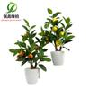 Qiangxin Fábrica Simulação Planta Verde Bonsai Interior Limoeiro Árvore Falsa Nórdico ins Sala de Estar Chão Enfeites Bonsai Laranja