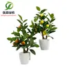 Simulação transfronteiriça ornamentos de plantas verdes oliveira flor artificial plantio camélia árvore laca limão laranja planta em vaso