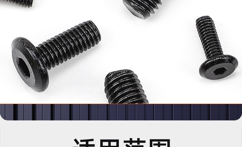 氧化发黑倒边内六角螺丝_03_20.jpg