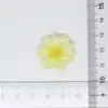 22mm Nuevo Estilo Flor de Cristal Degradado Resina DIY Pegamento de Crema Decoración para Funda de Teléfono Accesorios para Pasadores Materiales Hechos a Mano