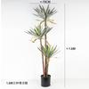 Planta Verde Artificial en Maceta Árbol Sangre de Dragón de Hoja Estrecha, Agave, Árbol de Yuca, Cola de Caballo Aguja de Hierro Girasol, Árbol de Hierro Decoración de Ventana