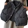 Ropa infantil coreana, chalecos de otoño e invierno para niños y niñas, acolchados y cálidos, chalecos exteriores elegantes y sencillos para bebés