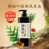 Nome da Marca: Fórmula Artesanal de Folhas de Platycladus Orientalis, Ginseng, Sabugueiro e Plantas Medicinais Polygonum Multiflorum para Nutrir o Cabelo, Eliminar a Caspa e Fortalecer os Fios