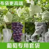Bolsas de Frutas No Tejidas, Bolsas para Uvas, A Prueba de Pájaros, A Prueba de Insectos, Bolsas Especiales Impermeables para Frutas, Bolsas para Guarderías, Al Por Mayor en Stock