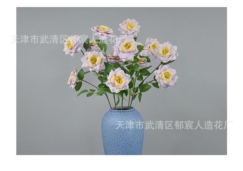 详情_13.png
