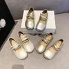 Zapatos Mary Jane planos de plata estilo francés para mujer, nueva colección de otoño 2026, punta redonda, pequeños zapatos de cuero estilo coreano delicados