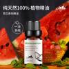 Sandía Sandía sabor a fruta aceite esencial vela aromaterapia fragancia de interior expansión venta al por mayor transfronteriza muestras de 10 ml