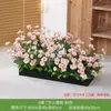 Flores Artificiales, Arreglos de Flores Falsas, Césped Artificial, Flores de Plástico, Plantas Verdes, Maceteros, Canaletas para Flores, Arreglos Florales, Flores de Seda, Separadores, Vallas, Plantas Verdes, Paisajismo